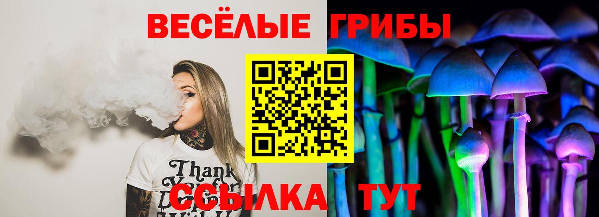 Галлюциногенные грибы Psilocybe Отрадное